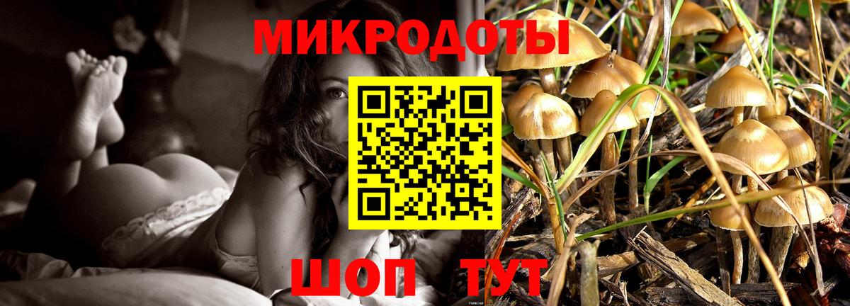 Галлюциногенные грибы прущие грибы  Псилоцибиновые грибы Psilocybine cubensis  где купить   Вход с VPN  Смоленск 
